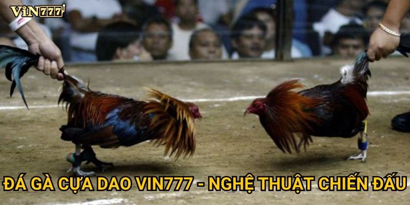 Vì sao Đá Gà Cựa Dao được xem là hình thức cược hấp dẫn nhất tại Vin777? 2 Đá Gà Cựa Dao Vin777 - Nghệ thuật chiến đấu