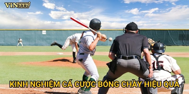 Kinh nghiệm cá cược bóng chày hiệu quả