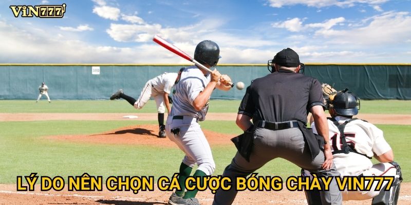 Lý do nên chọn cá cược bóng chày Vin777